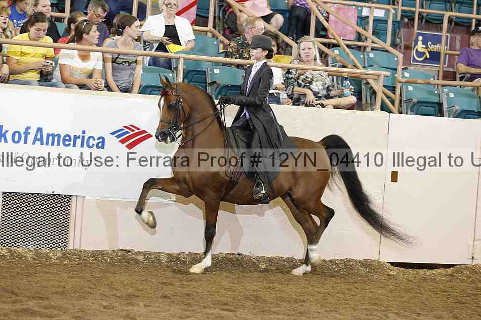 Proof 12yn_04410