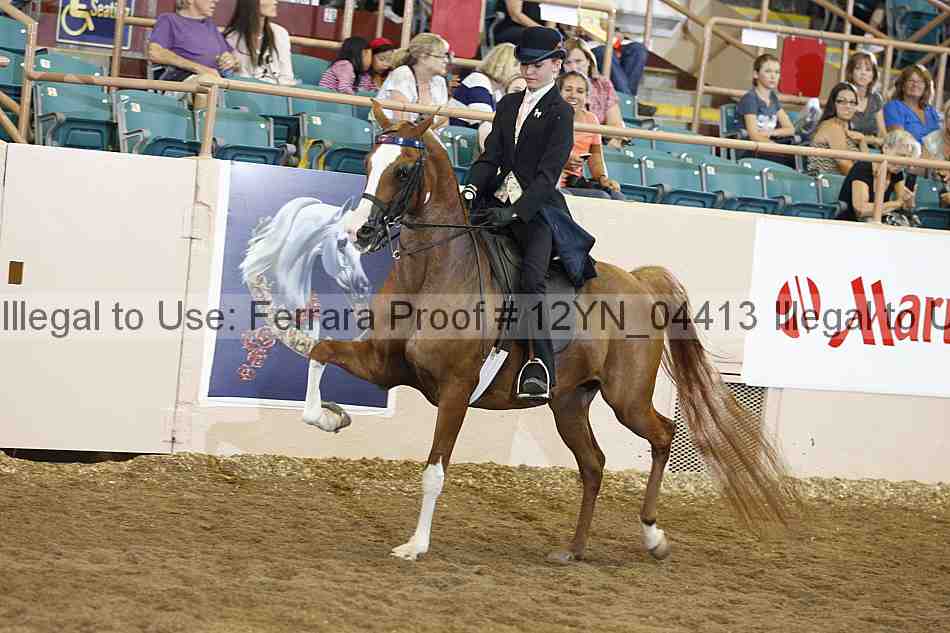 Proof 12yn_04413