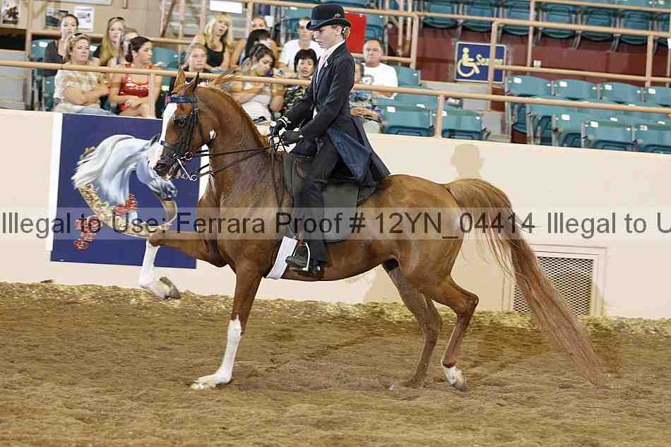 Proof 12yn_04414