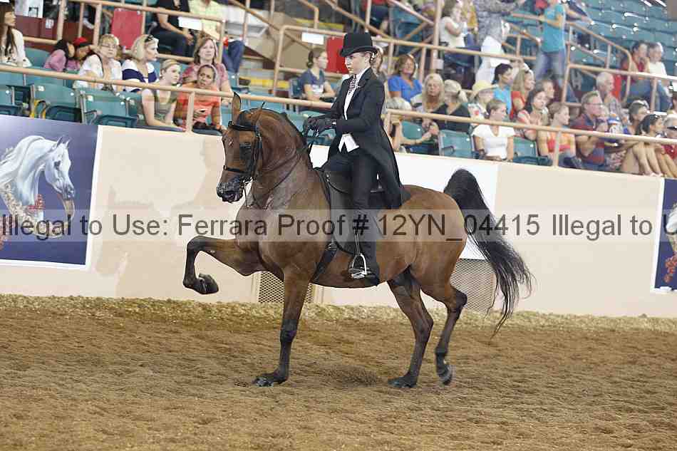 Proof 12yn_04415
