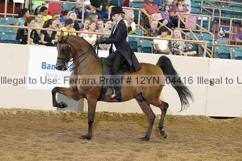 Proof 12yn_04416