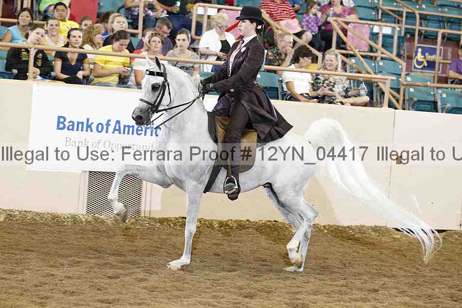 Proof 12yn_04417