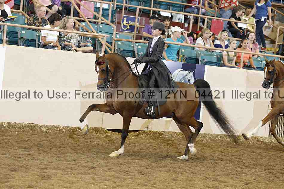 Proof 12yn_04421