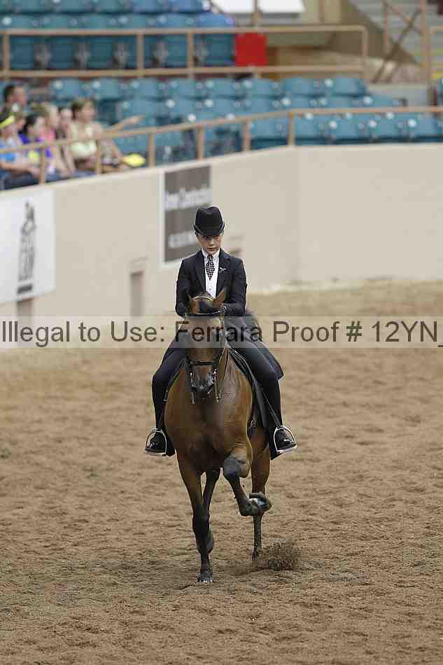 Proof 12yn_04423