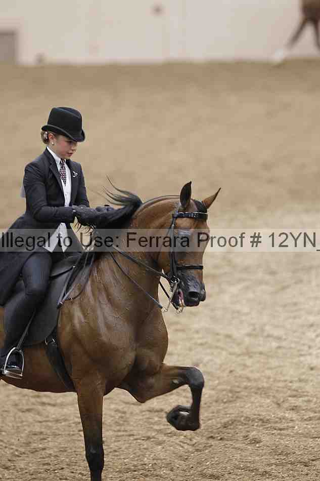 Proof 12yn_04424
