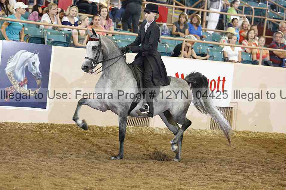 Proof 12yn_04425