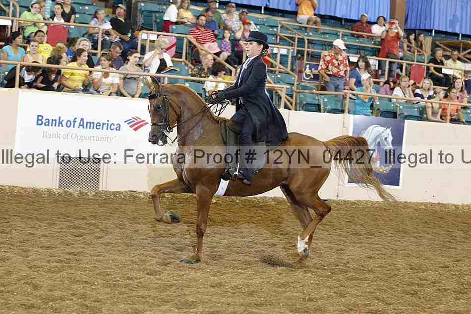 Proof 12yn_04427