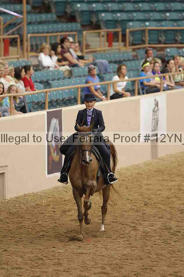 Proof 12yn_04428