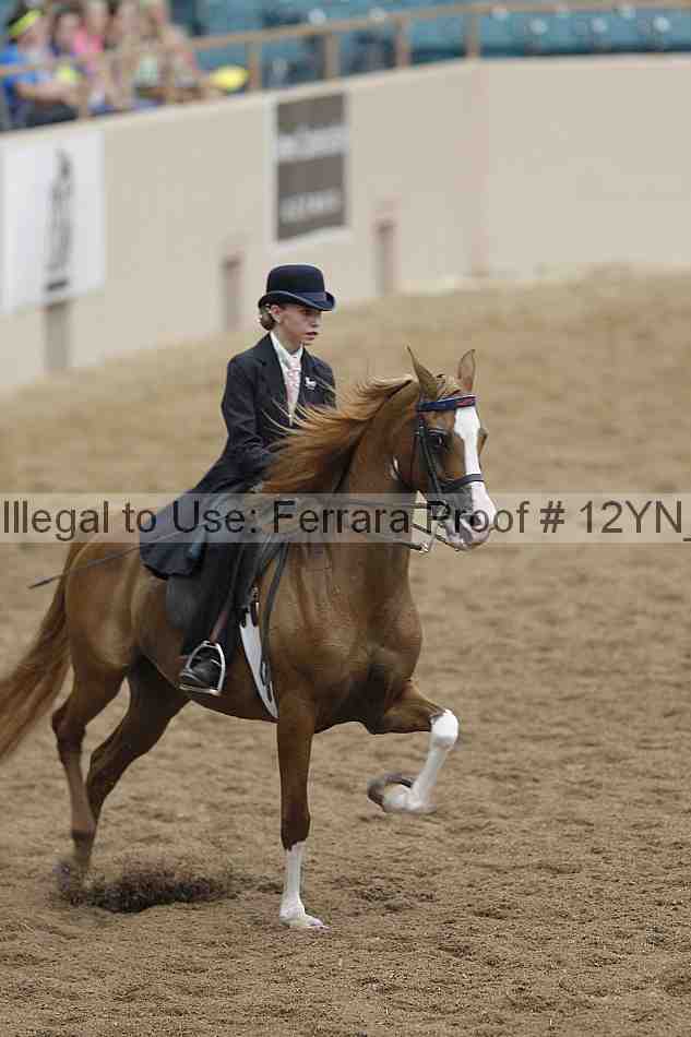 Proof 12yn_04431