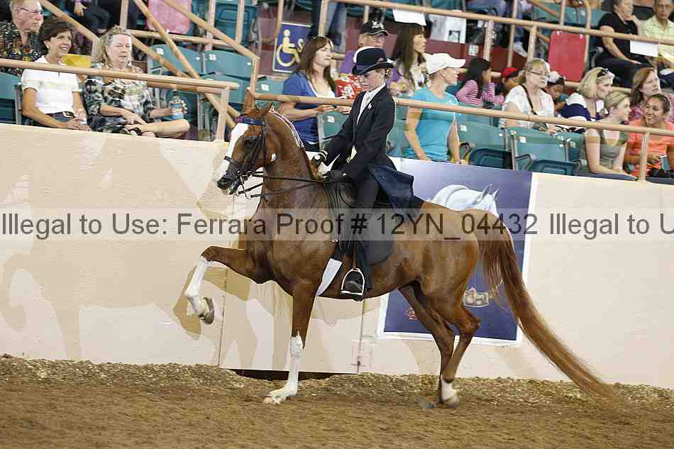 Proof 12yn_04432
