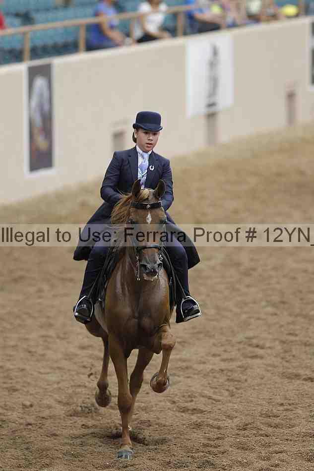 Proof 12yn_04433
