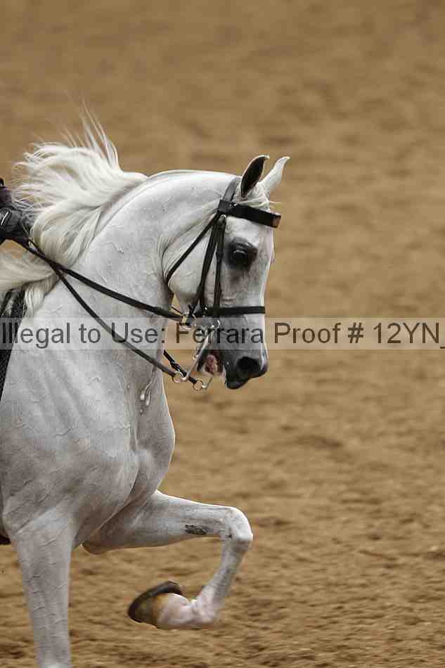 Proof 12yn_04434