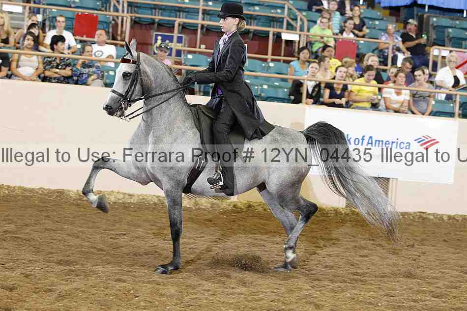 Proof 12yn_04435
