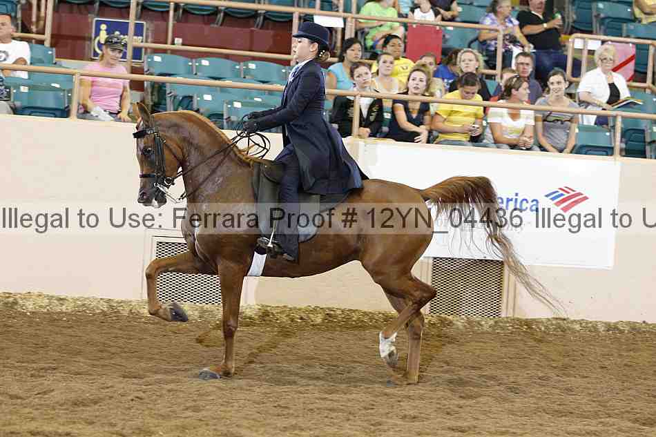 Proof 12yn_04436