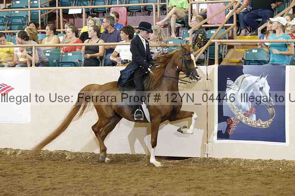 Proof 12yn_04446