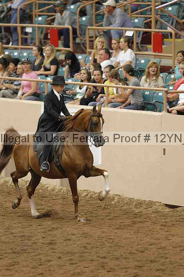 Proof 12yn_04447