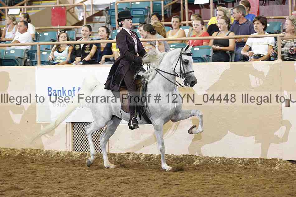 Proof 12yn_04448
