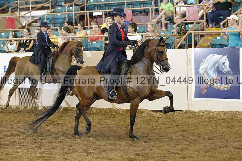 Proof 12yn_04449