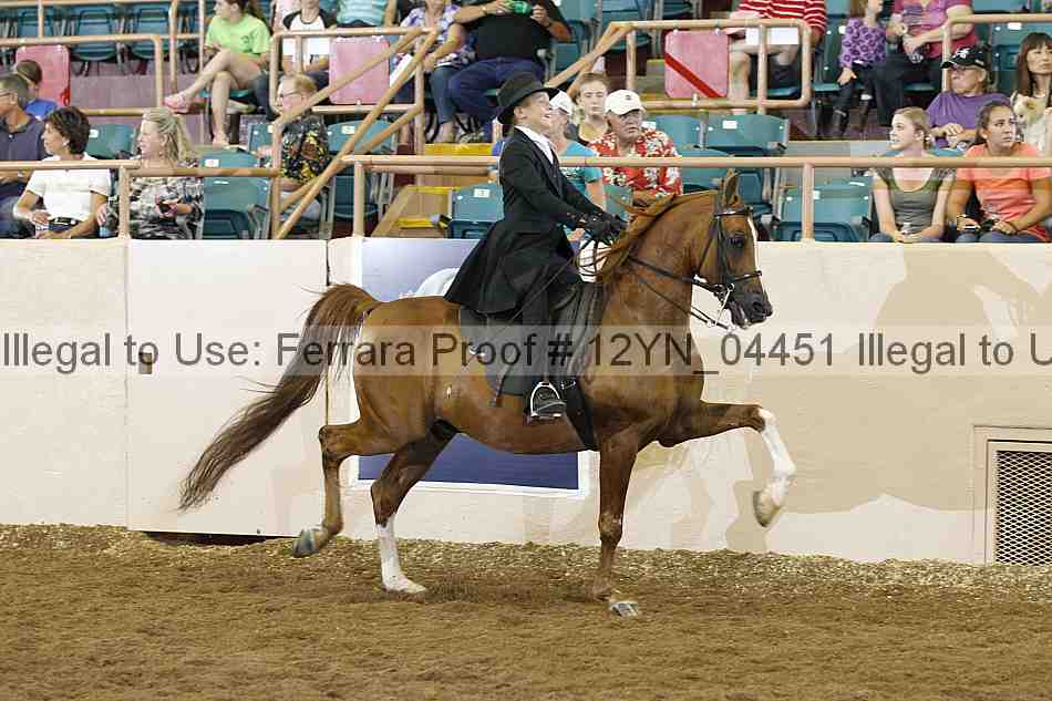 Proof 12yn_04451