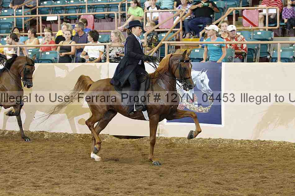 Proof 12yn_04453