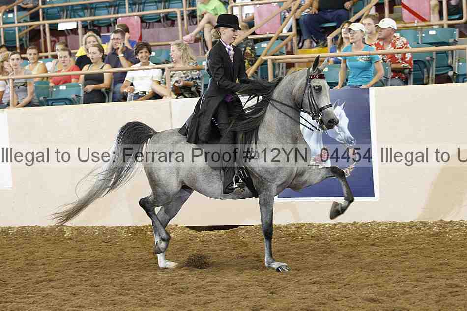Proof 12yn_04454