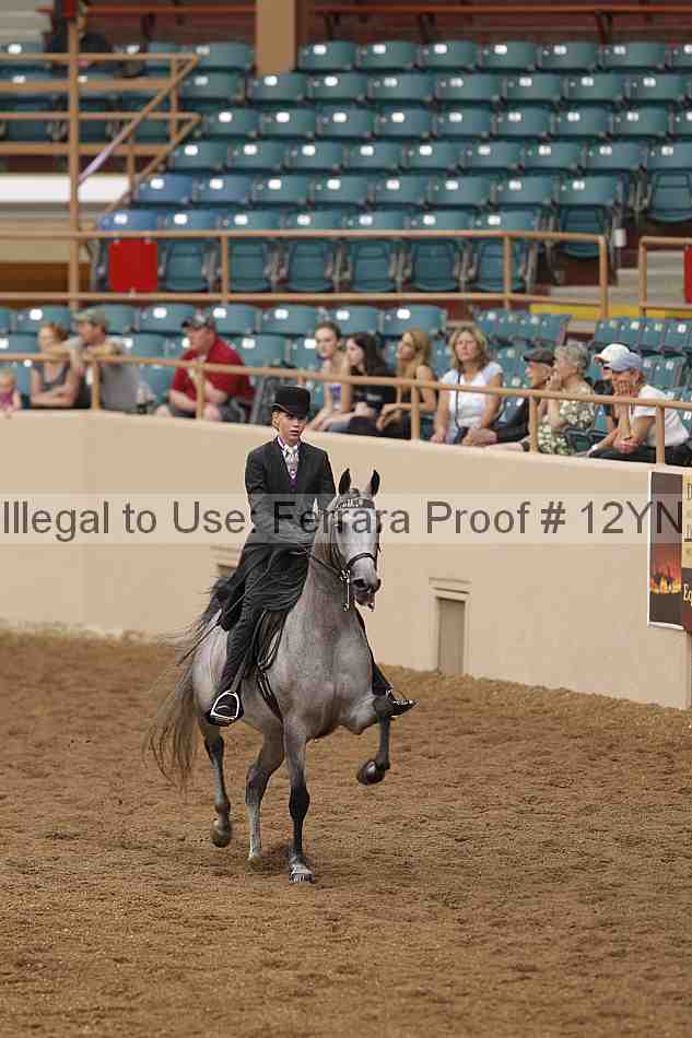 Proof 12yn_04455