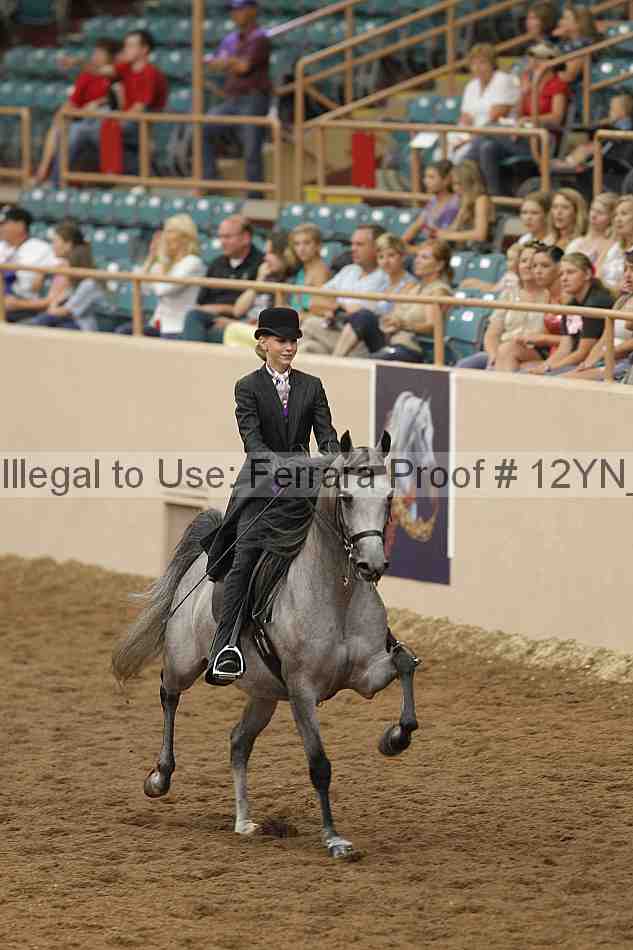 Proof 12yn_04456