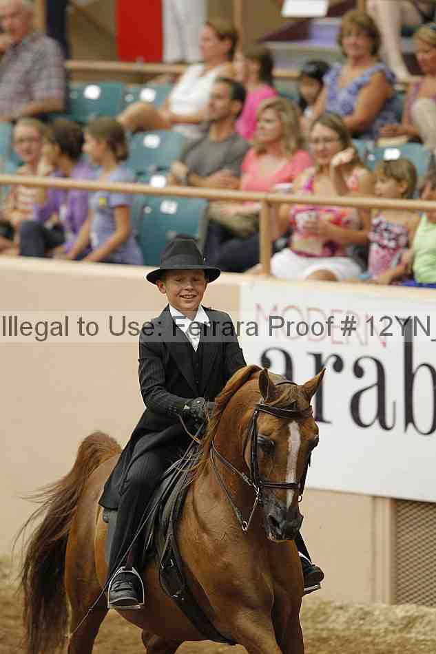Proof 12yn_04461