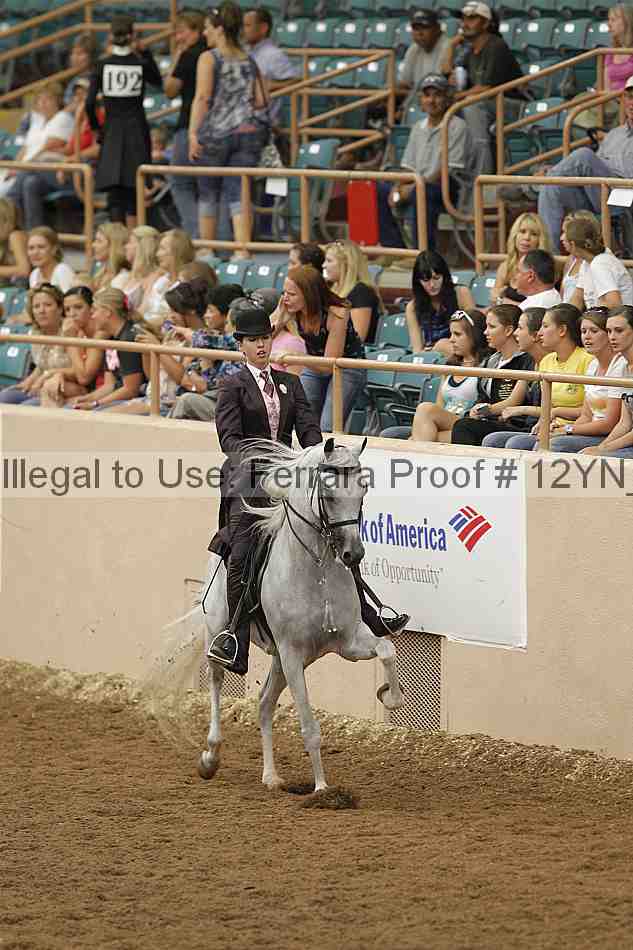 Proof 12yn_04463