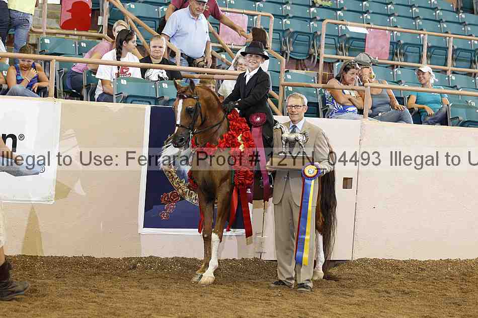Proof 12yn_04493