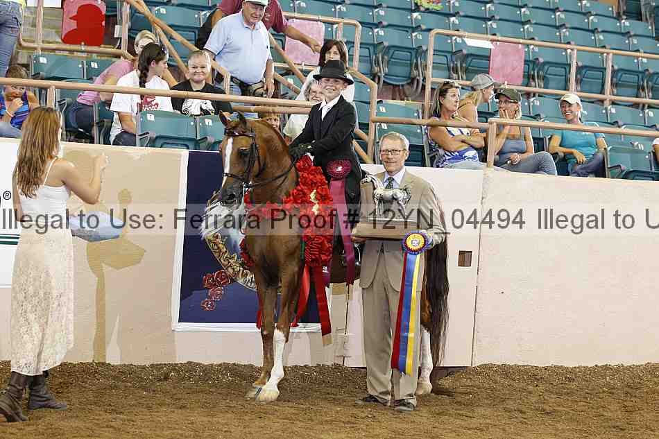 Proof 12yn_04494