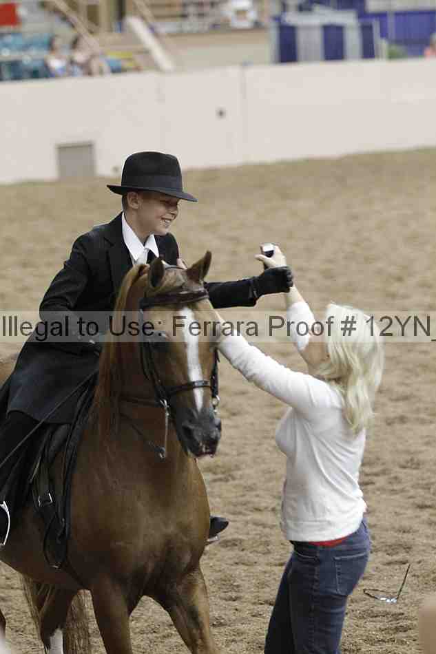 Proof 12yn_04495