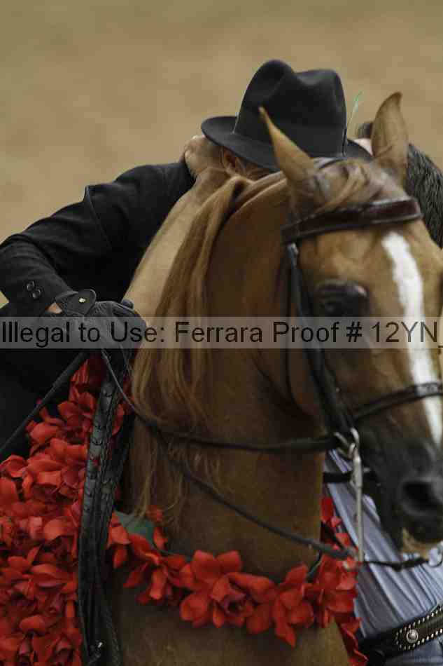 Proof 12yn_04507