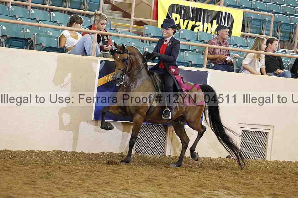Proof 12yn_04511