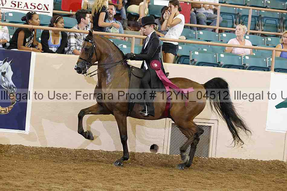 Proof 12yn_04512