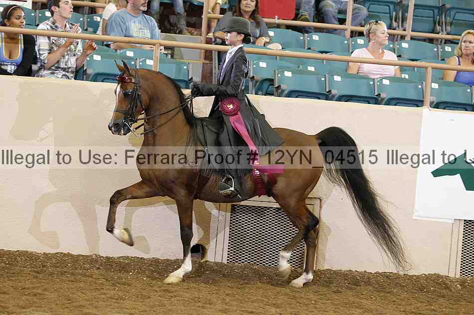 Proof 12yn_04515