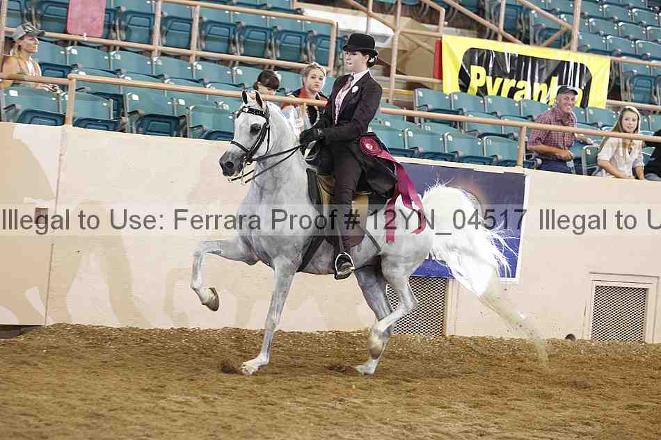 Proof 12yn_04517