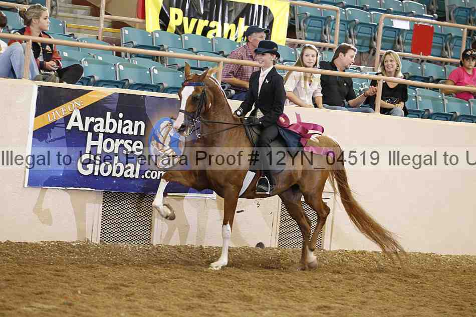Proof 12yn_04519