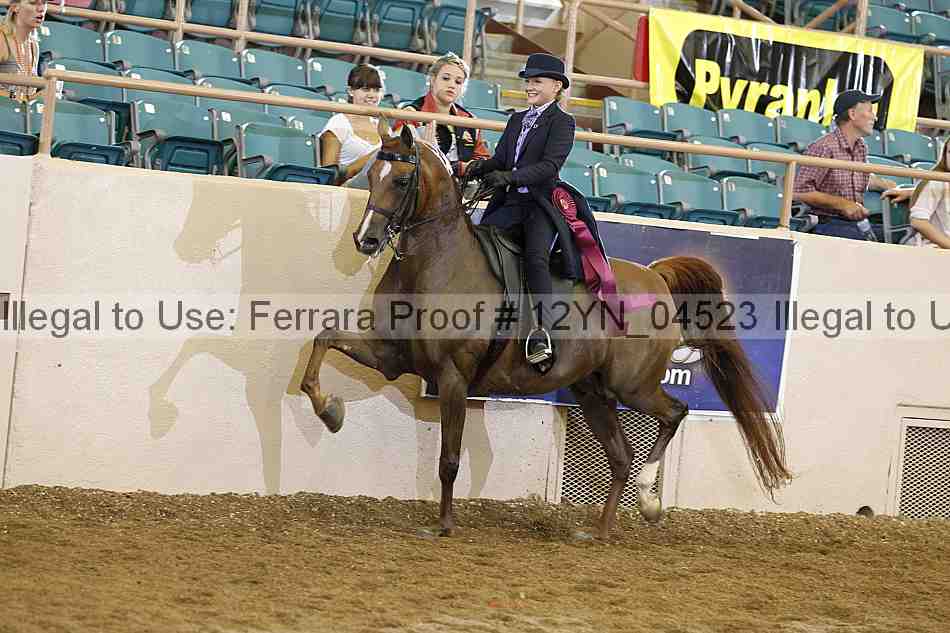 Proof 12yn_04523