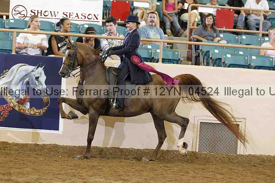 Proof 12yn_04524