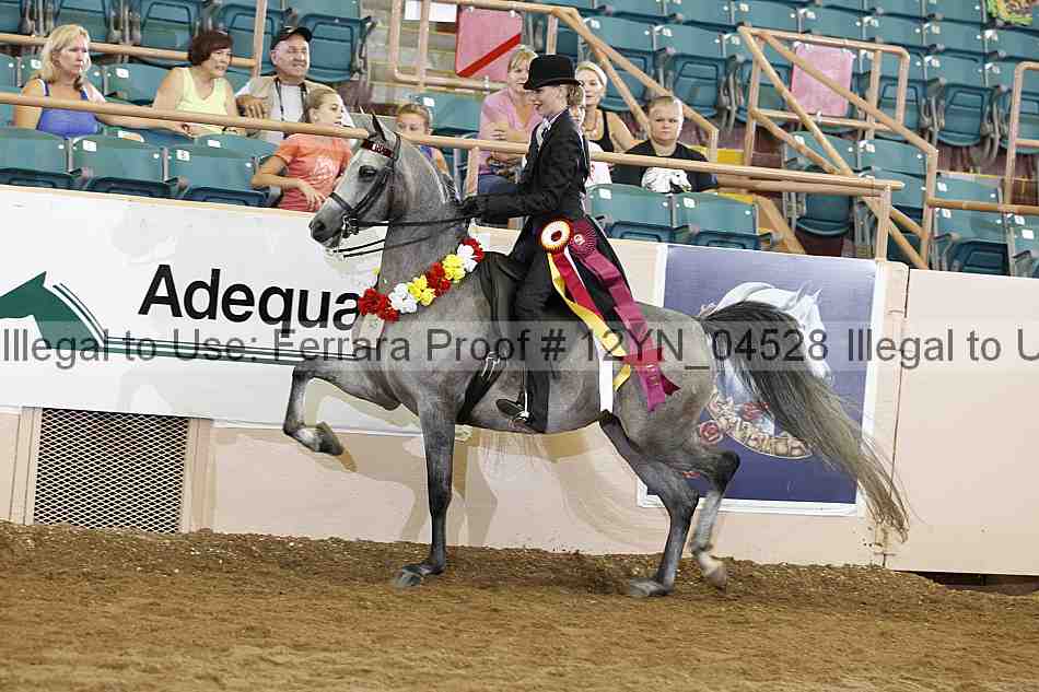 Proof 12yn_04528