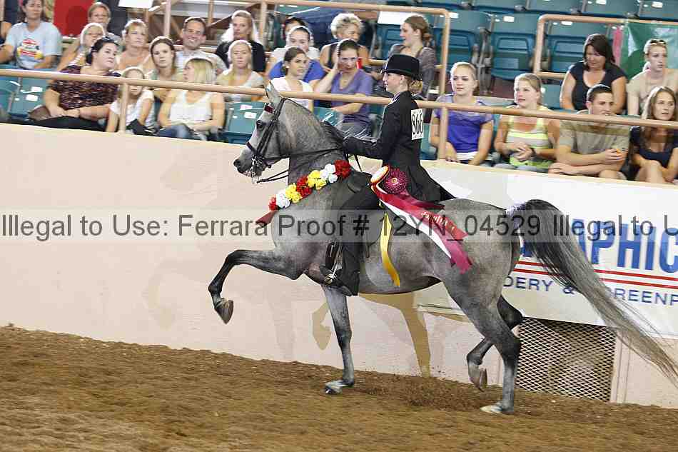 Proof 12yn_04529