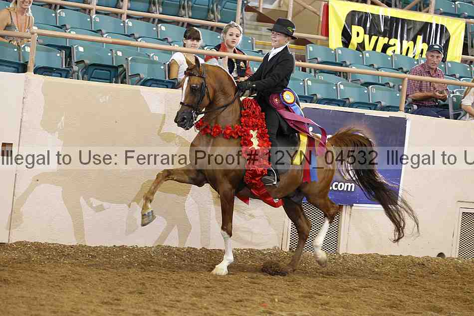 Proof 12yn_04532