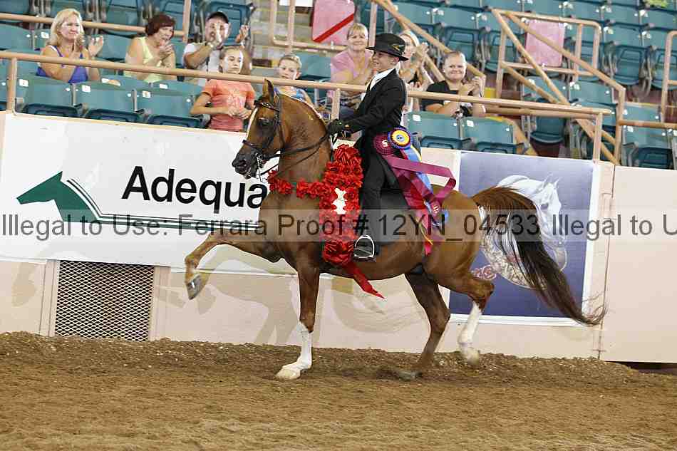 Proof 12yn_04533