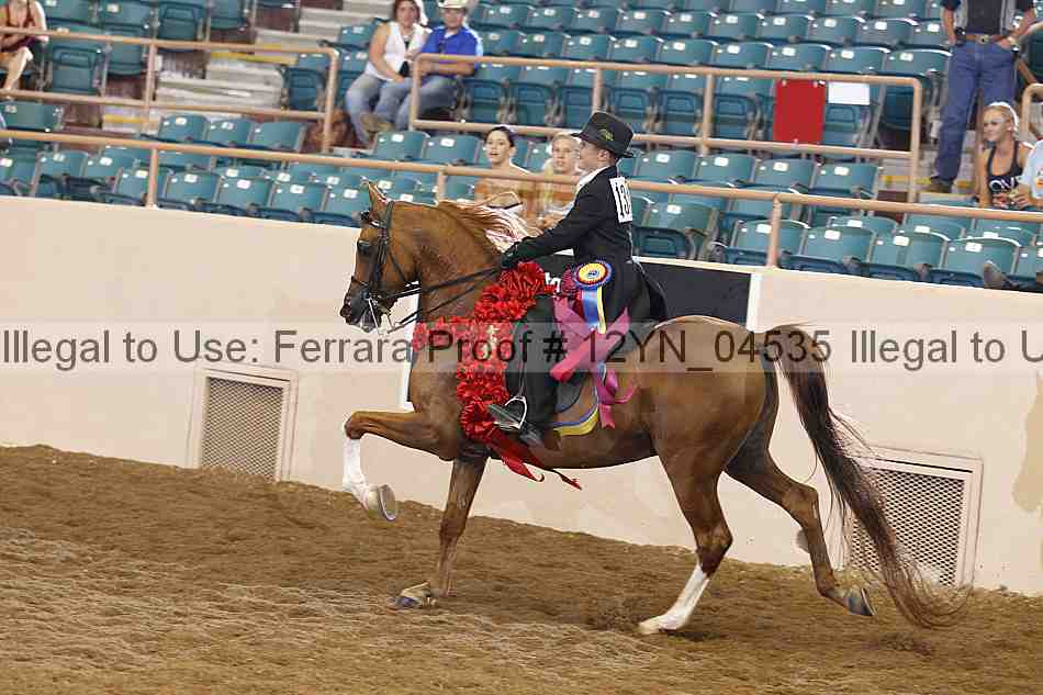 Proof 12yn_04535