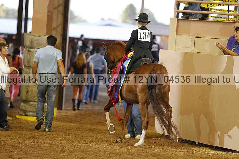 Proof 12yn_04536