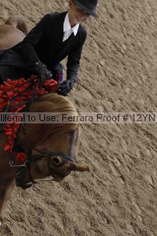Proof 12yn_04538