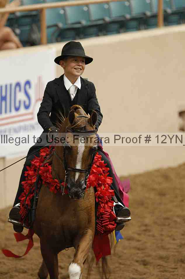 Proof 12yn_04539