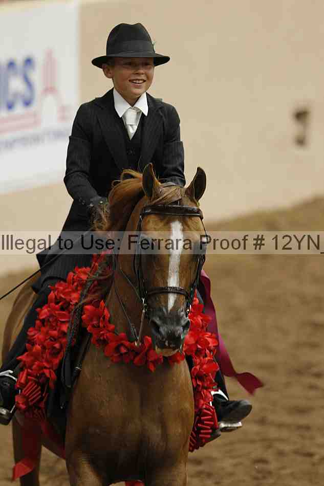 Proof 12yn_04540