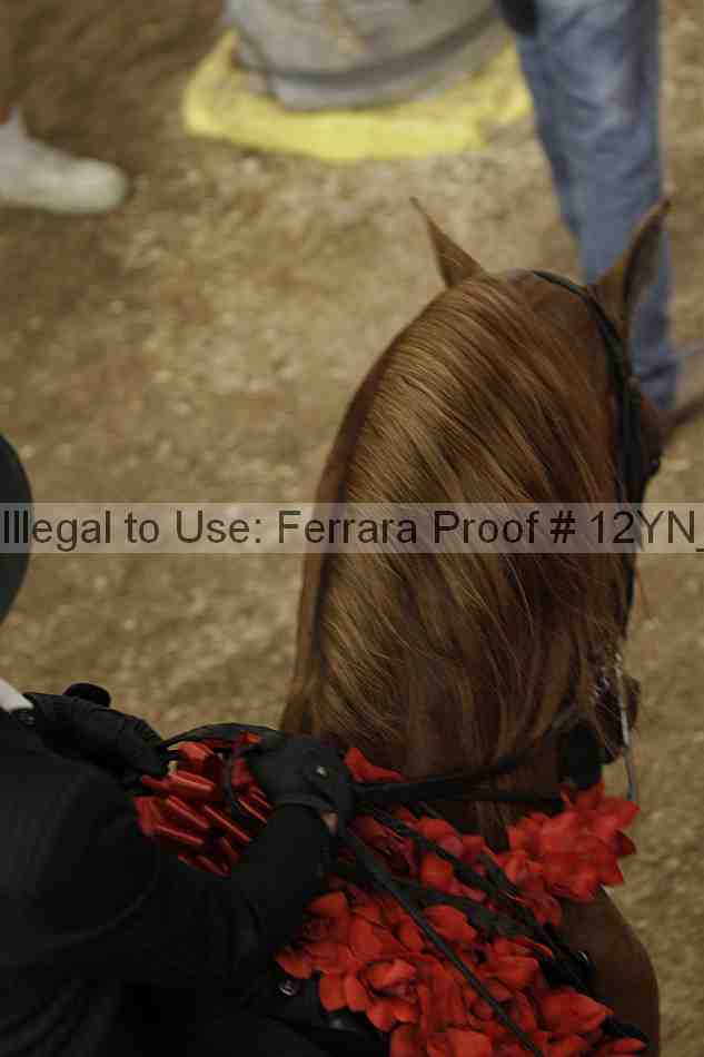 Proof 12yn_04541